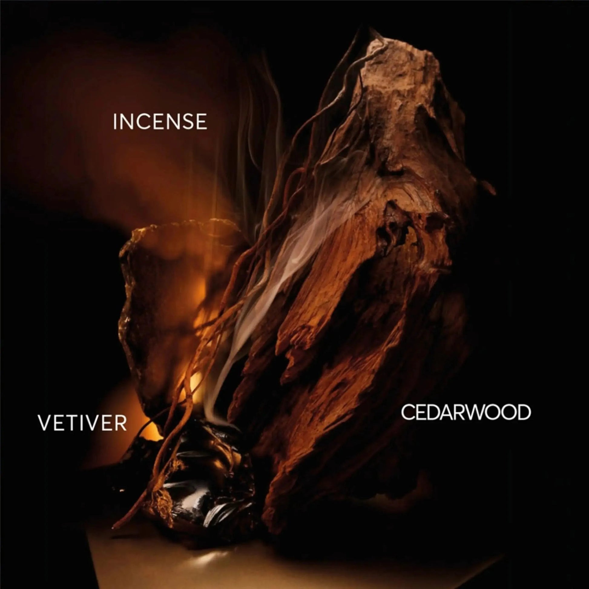 BOSS - Street wear urban