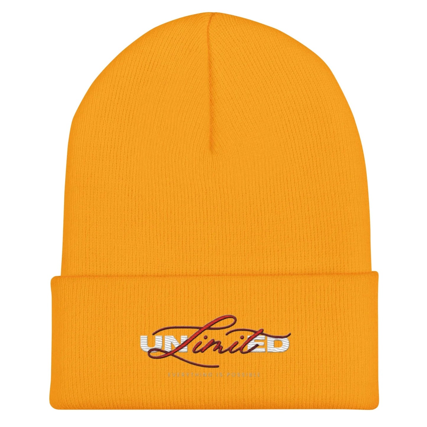 Cuffed Beanie - Street wear urban